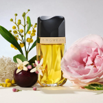 Estee Lauder Knowing