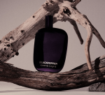 Comme Des Garcons Blackpepper