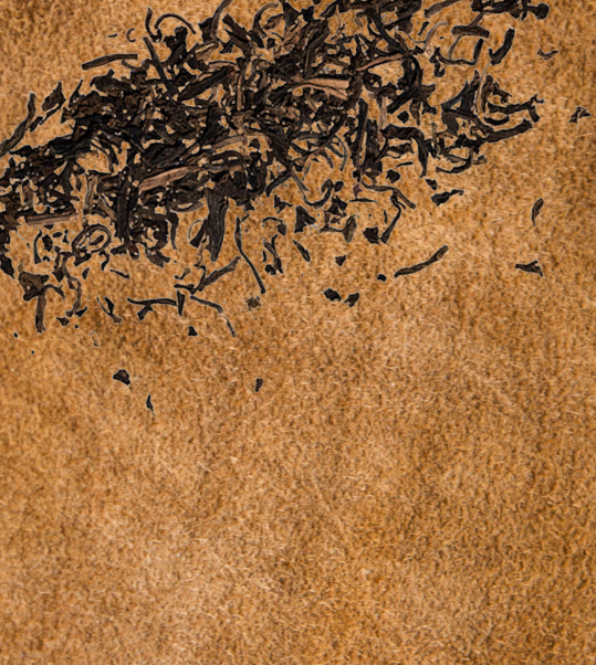 Pierre Guillaume 5.1 Suede Osmanthe