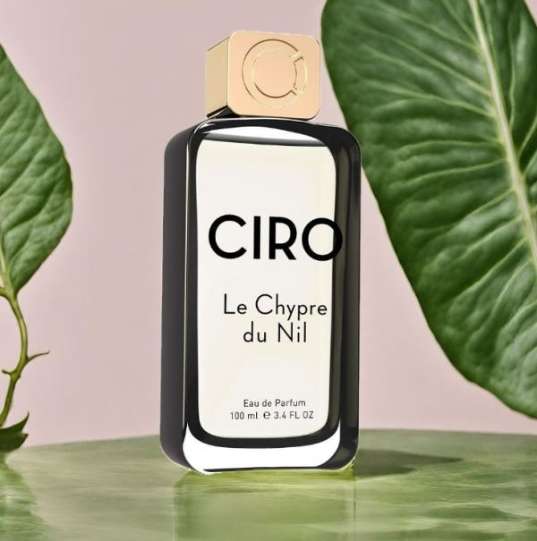 CIRO Le Chypre Du Nil